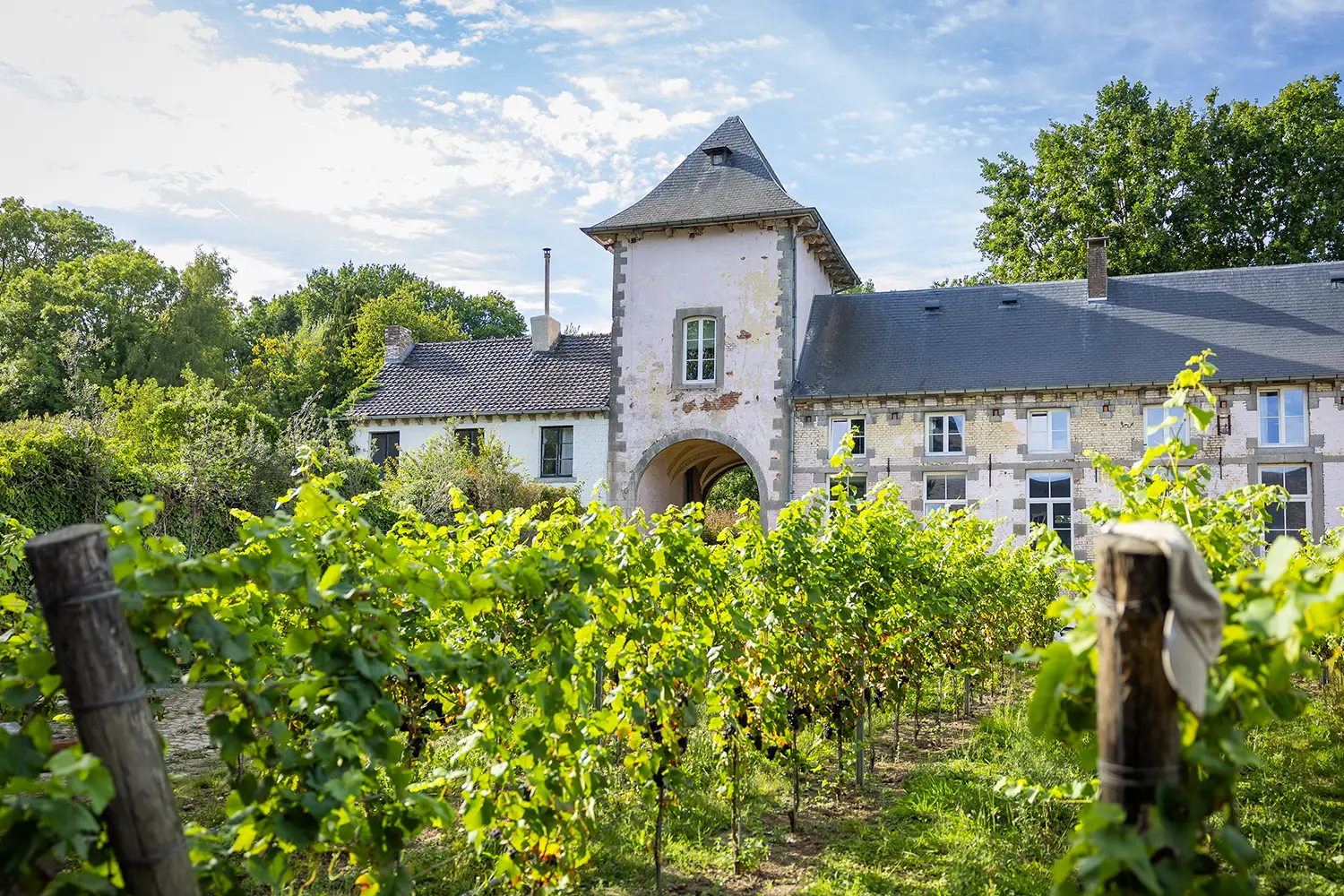 Domaine Becq