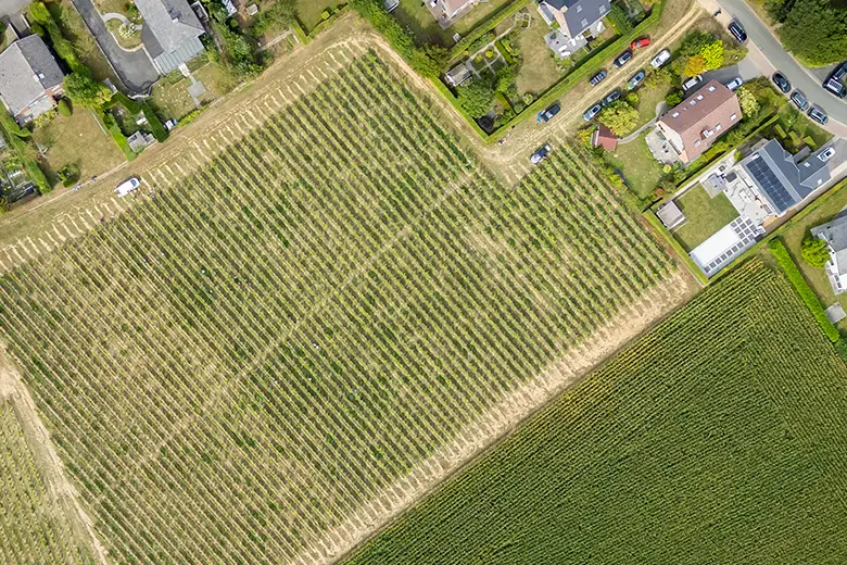 Parcelle La Croix Malin