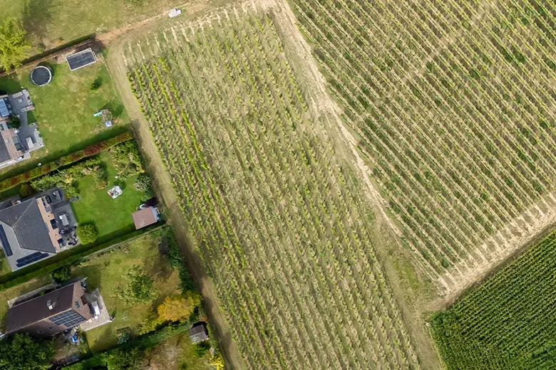 Parcelle Le Bois du Greffier