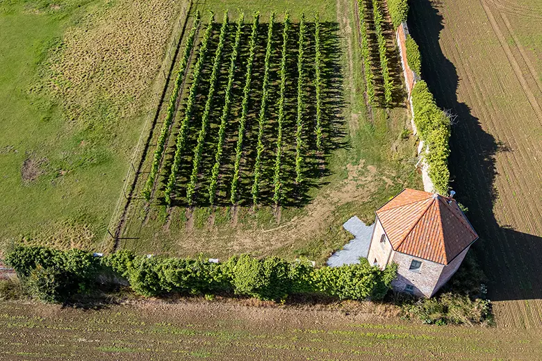 Parcelle La Tourelle